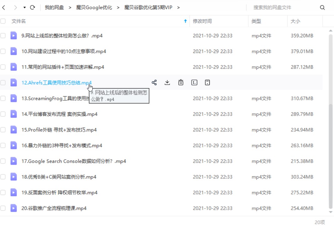 外贸SEO优化推广 Google SEO（谷歌seo） Bing必应 搜索引擎优化  魔贝谷歌优化第5期VIP